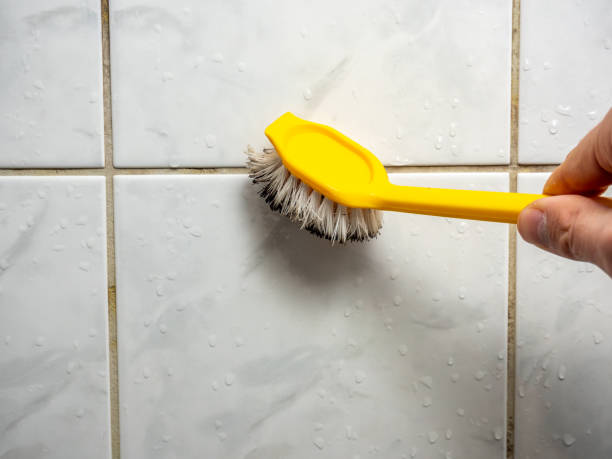 Best Mold Cleaning Services  in Los Angeles, CA
