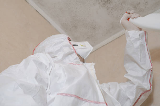 Best Office Mold Removal Services  in Los Angeles, CA