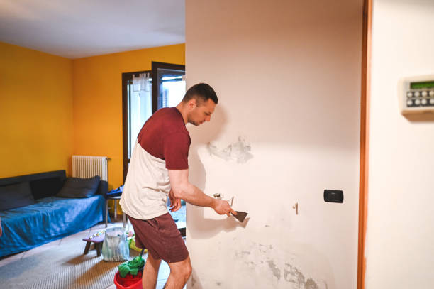 Best Mold Testing  in Los Angeles, CA